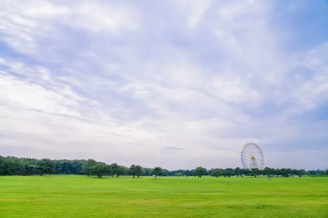 在广阔无边的草原上野餐也不错哦～