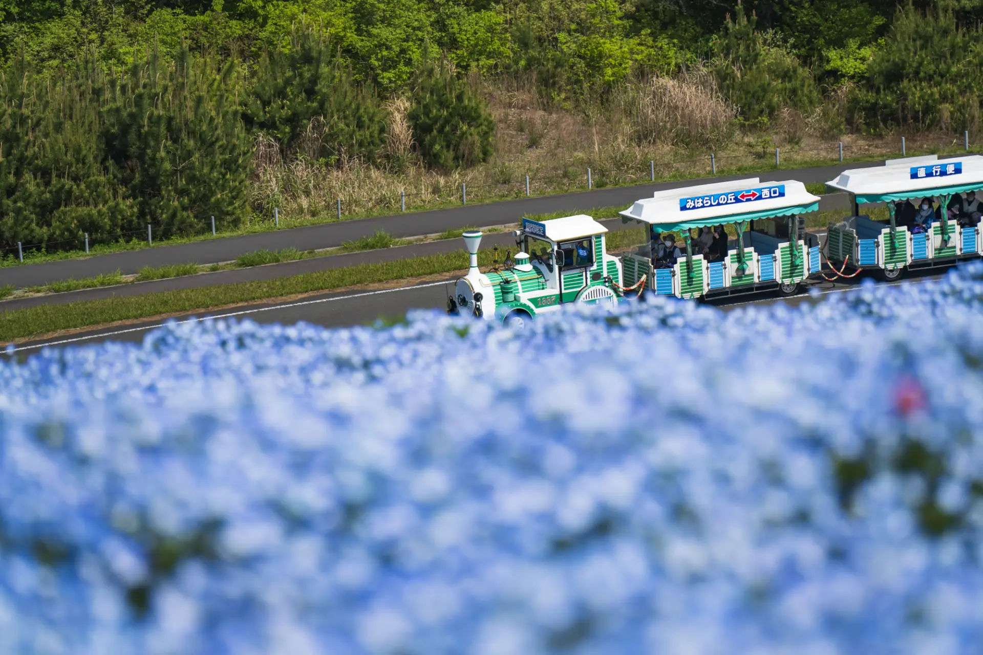 搭乘園内小火車，約40分鐘即可繞行公園一圈！