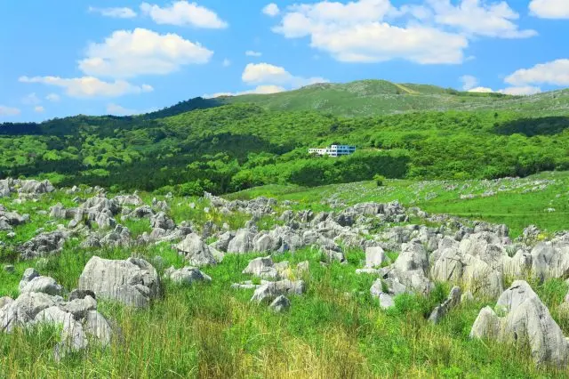 【秋吉台完整指南】必看重點、週邊景點一篇搞定！