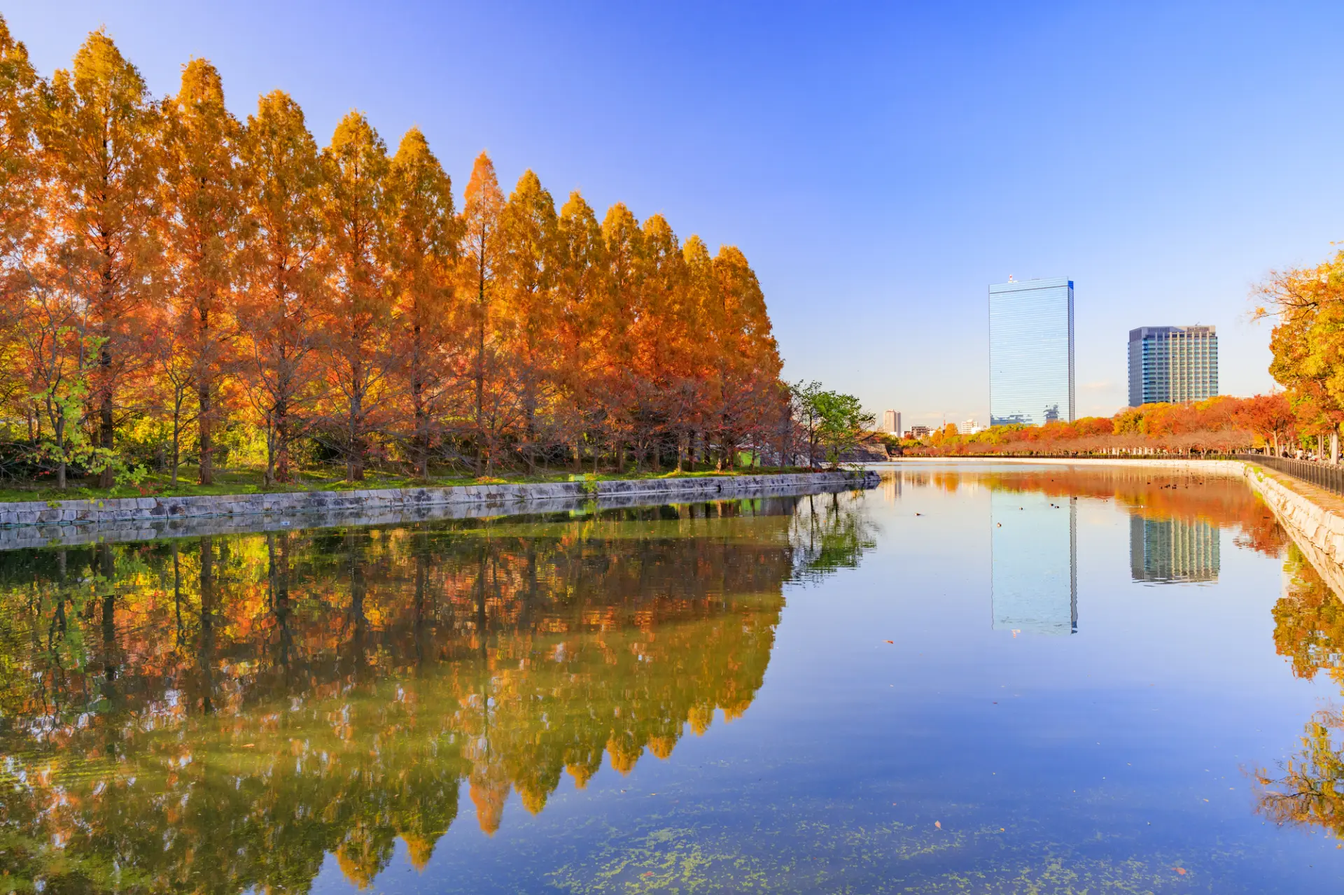 お堀に映る紅葉など様々な景色を楽しめる