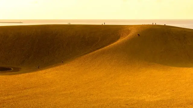 造訪鳥取砂丘絕對不能錯過的著名景點