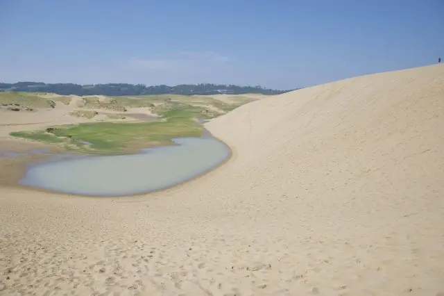若有幸見到綠洲，別忘了拍張照片留作紀念！