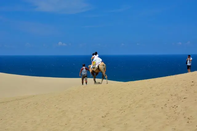 騎乘駱駝悠閒漫步於砂丘之上吧～