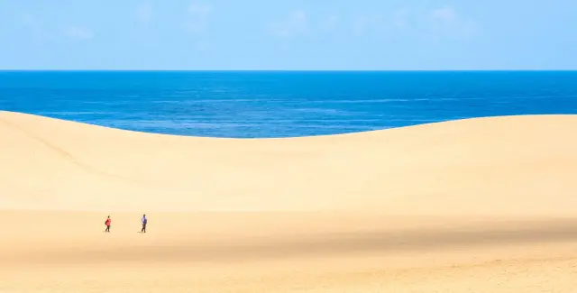 沙漠絕景就呈現在眼前！由砂丘呈現出的造型美令人屏息