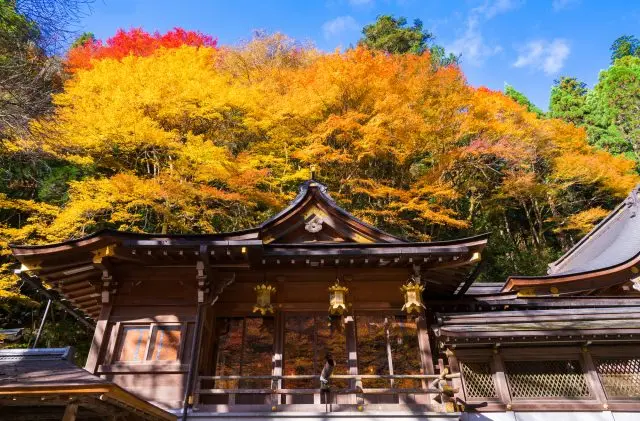 Take in all the authentic Japan look and feel as the autumn leaves accent the ancient buildings.