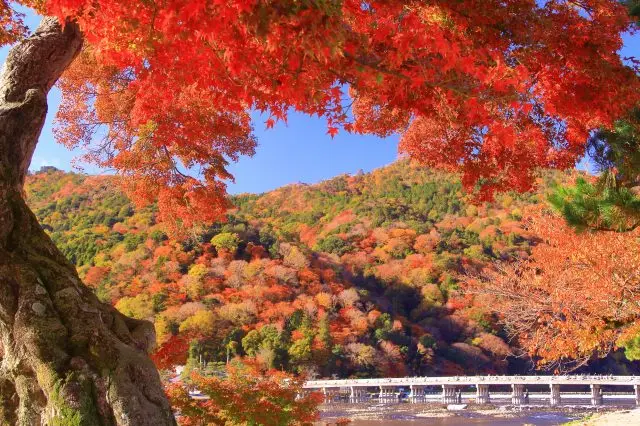 Togetsukyo Bridge and Arashiyama tinted in a tapestry of color.