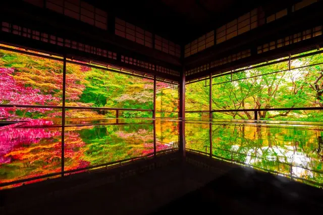 Fall Vibes Across the Ancient Capital! 13 Best Places to See Autumn Leaves in Kyoto.