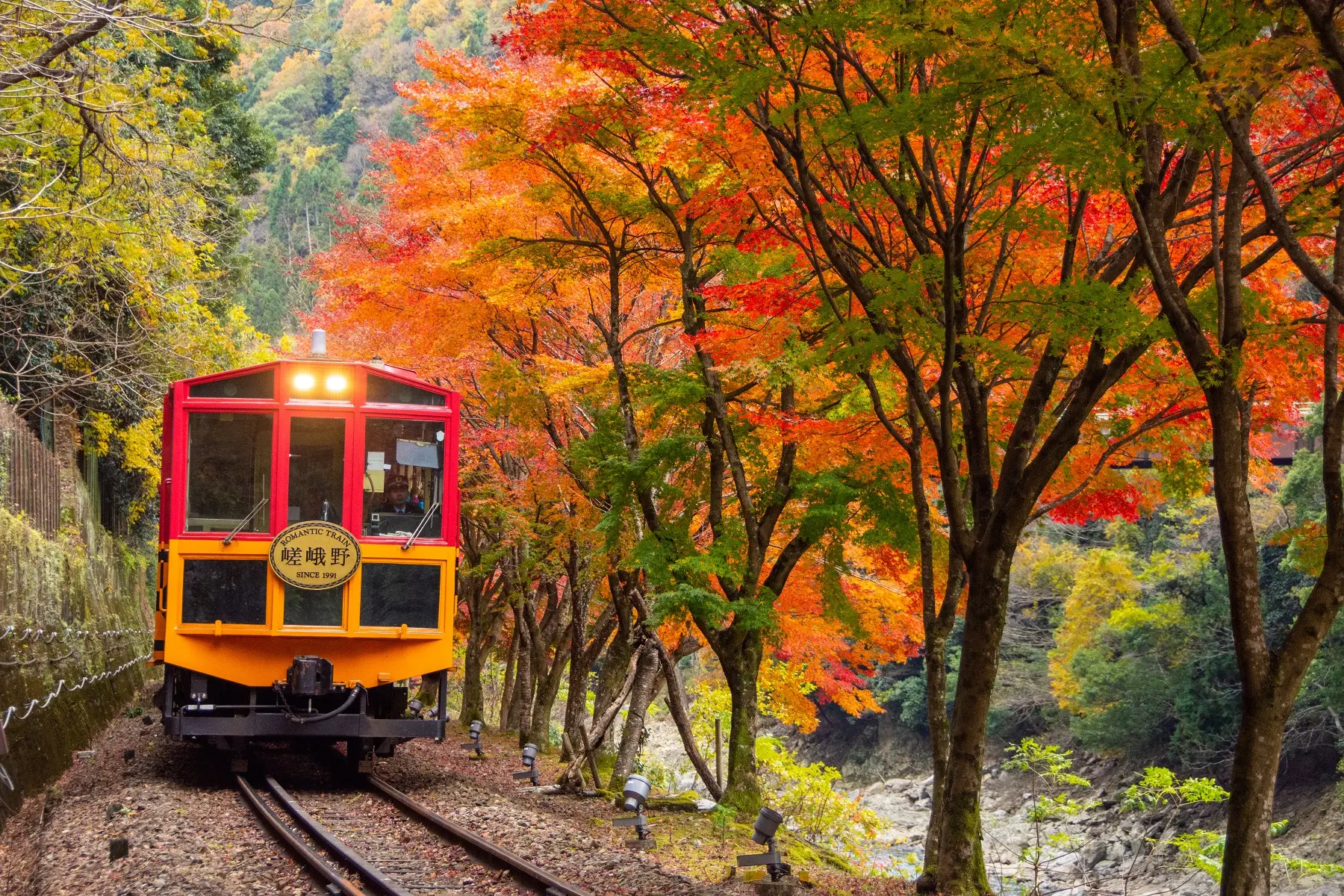保津川沿いの雄大な自然の中を走るトロッコ列車