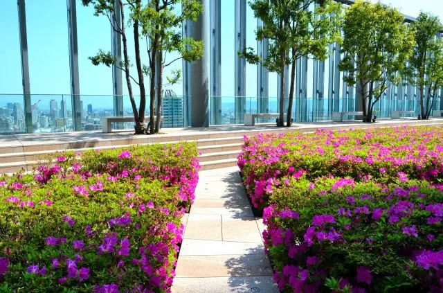 美術館と同じフロアにある庭園は憩いのスポットになっている