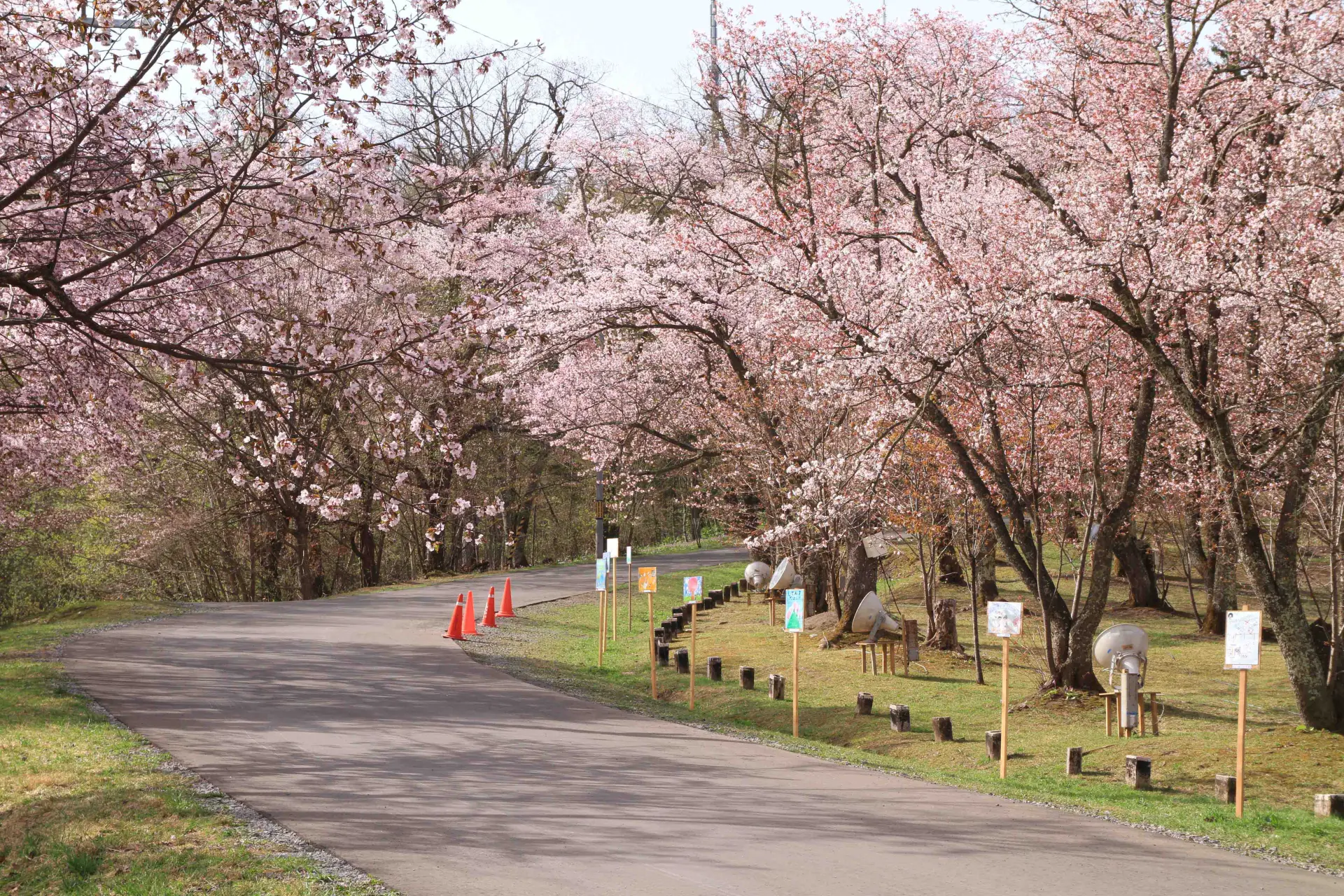 旭山の麓に広がる自然豊かな公園