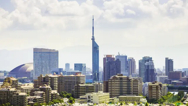 【福冈塔完整指南】不只是观景台！必看重点&周边景点一篇掌握～