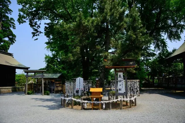 想祈求良緣的人，不妨親自來試試看