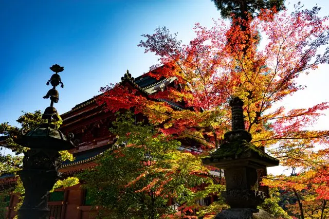 想去日光東照宮，最推薦在紅葉期間造訪