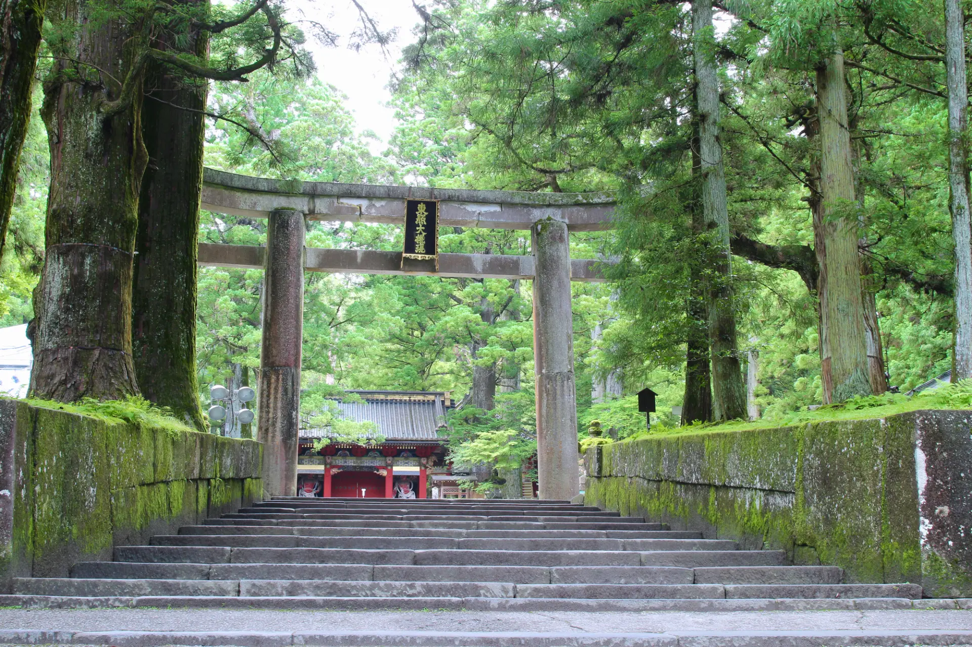 見どころの多い日光東照宮は時間に余裕を持ってゆっくり巡ろう