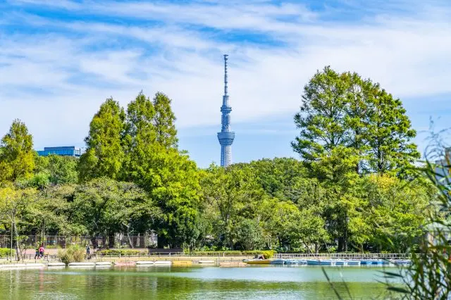 在上野公園充滿綠意的自然環境中漫步遊覽，享受城市綠洲的魅力