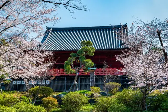 在公園各處都能看到以前寺廟的遺跡
