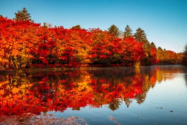 軽井沢随一の絶景に出会える！雲場池の観光ガイド

