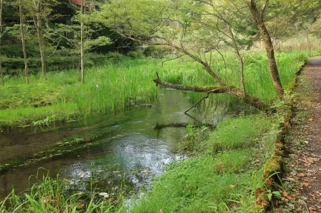 美しい自然の中をゆっくり散策してみよう