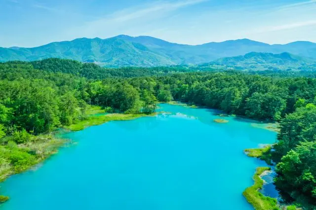 【五色沼の観光ガイド】多彩な湖面と雄大な自然景観が調和する絶景を堪能