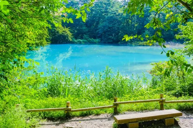 新緑と夏の日差しに輝く湖面