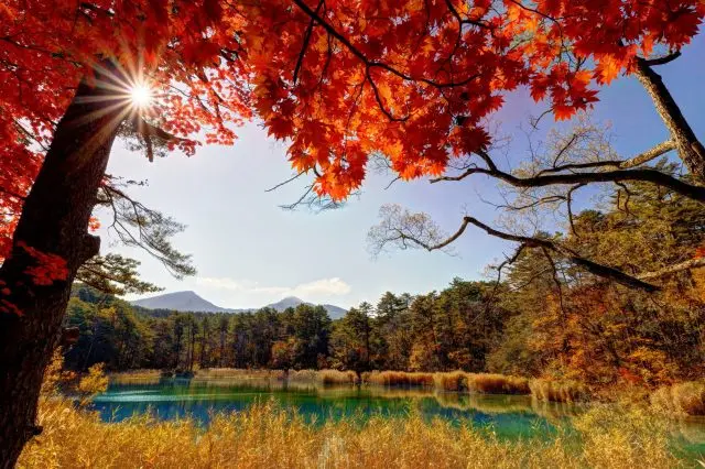 様々な色に染まる五色沼