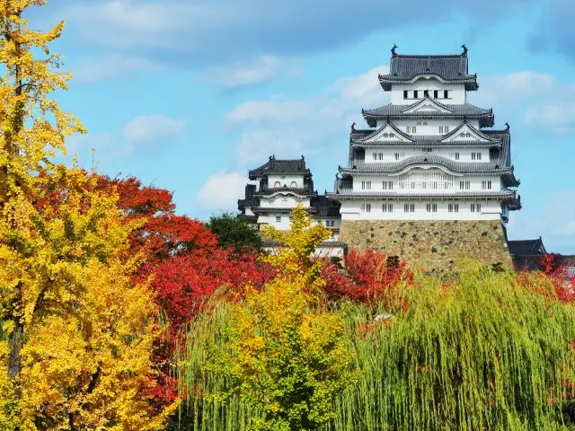 色彩繽紛的紅葉與白牆黛瓦的姬路城共同構成的秋日美景