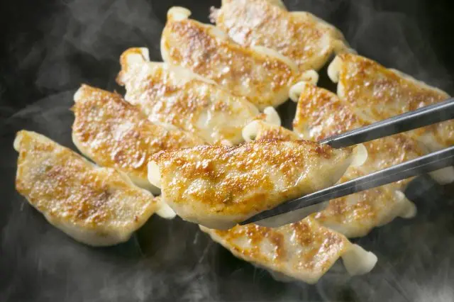 Utsunomiya Gyoza, a bite so tasty tourists visit here just to taste it.