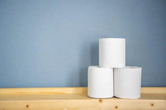 Remember to always flush the used toilet paper down the toilet.