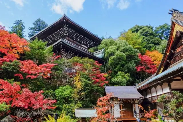 在「大聖院」欣賞繽紛多彩的楓紅美景