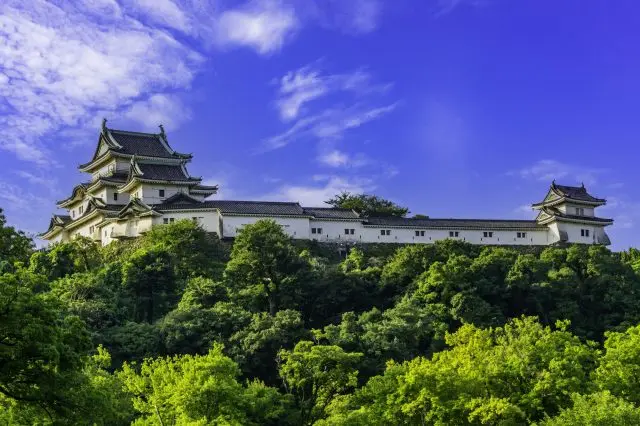 【和歌山城完整指南】必看重點&週邊景點一篇搞定！