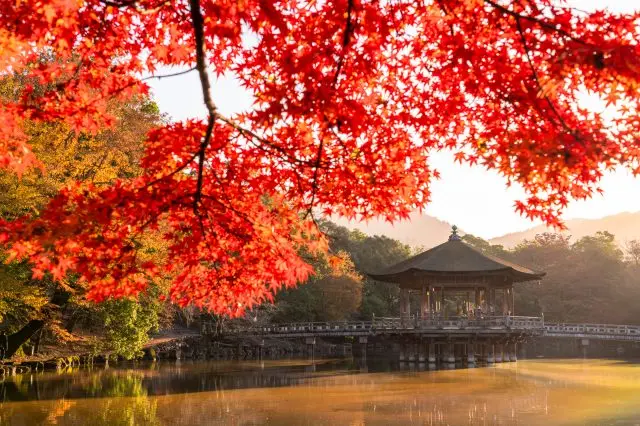 在春天和秋天呈現出不同風情的「浮見堂」
