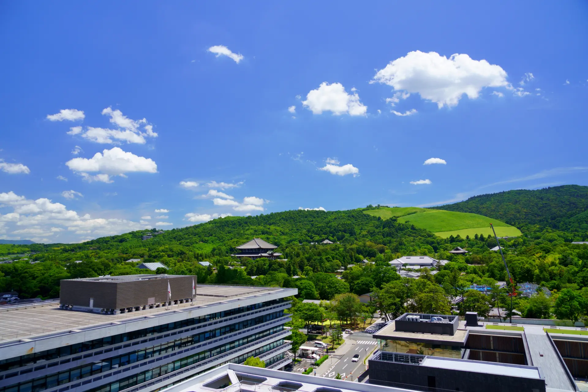 The view from the rooftop garden