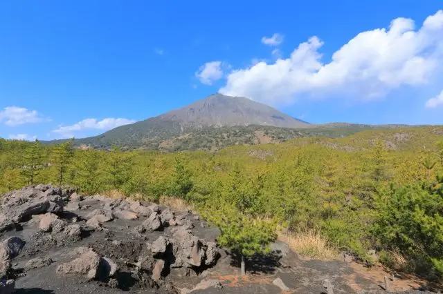 在宜人的氣候中，更動態地享受櫻島吧
