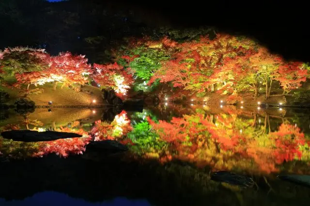 紅葉と光が湖面に映る絶景も見逃せない
