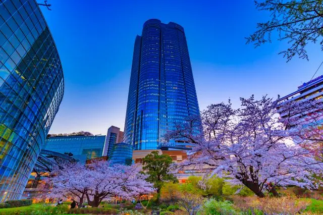 満開の桜と六本木ヒルズの美しい景観