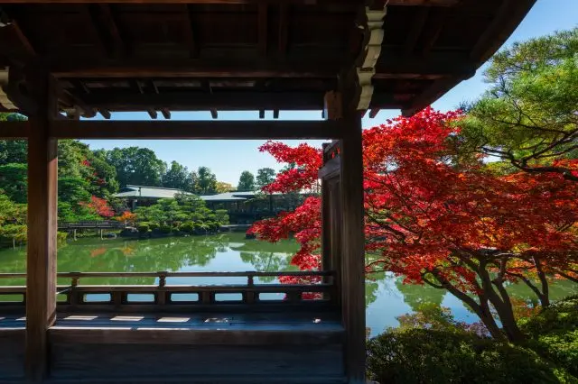 紅葉が彩る境内も美しい