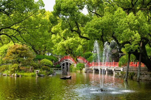 從不同角度欣賞美麗的景觀，探索太宰府天滿宮的獨特魅力