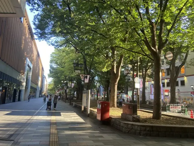 It is a quick 5-minute walk from Fuchu Station to the Tourist Information Center. Pass through the avenue of Zelkova Row of Trees of Riding Ground Daimon, a designated Natural Monument of Japan before you reach the center.