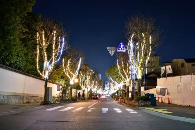 街路樹に灯されたイルミネーションとライトアップされた、ロマンチックな神戸北野異人館街は必見だ