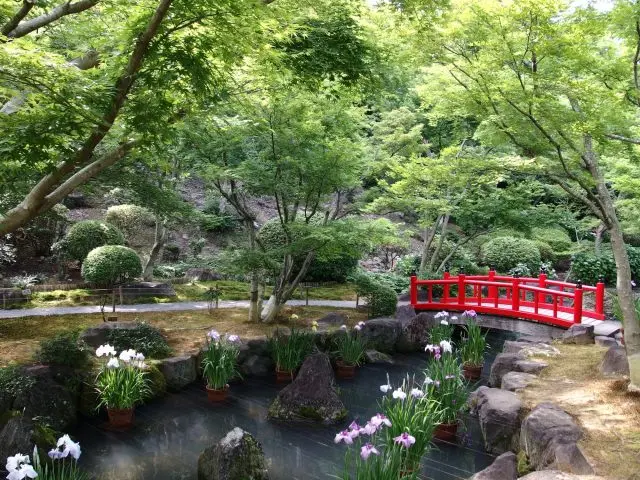境内にある日本庭園も忘れずに散策してみよう