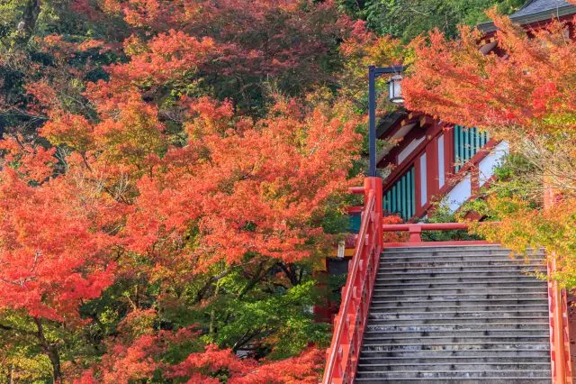 紅葉で彩られた風情ある祐徳稲荷神社も魅力的だ
