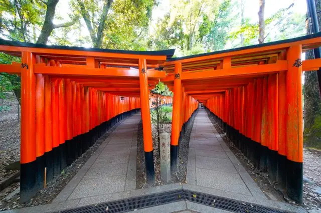 以絕世美景而聞名的「千本鳥居」