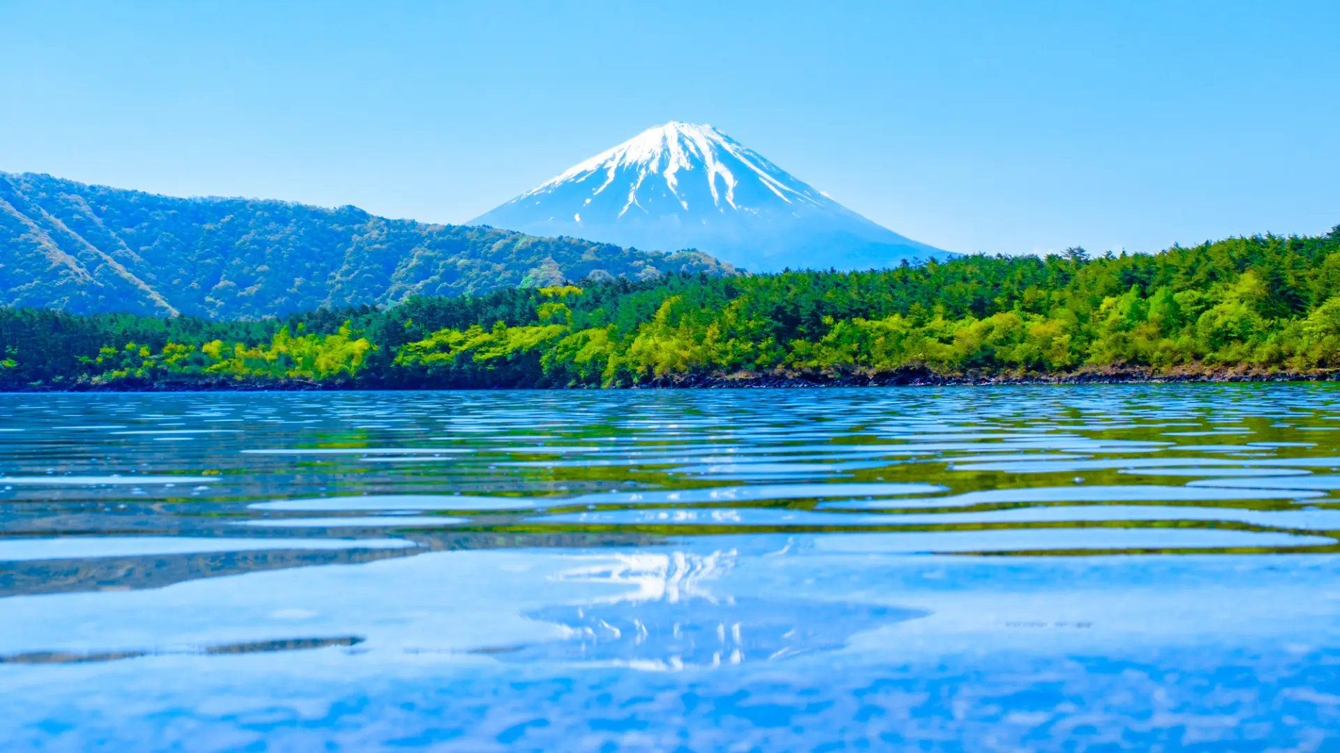 保留了豐沛自然資源的「西湖」