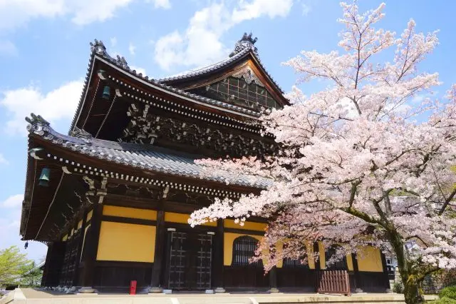 紅葉の名所として知られているが桜の見頃にも絶景が広がる