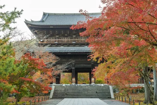 紅葉で彩られた日本情緒漂う境内