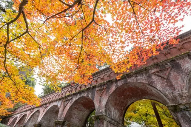 境内のいたる所が紅葉で染まる