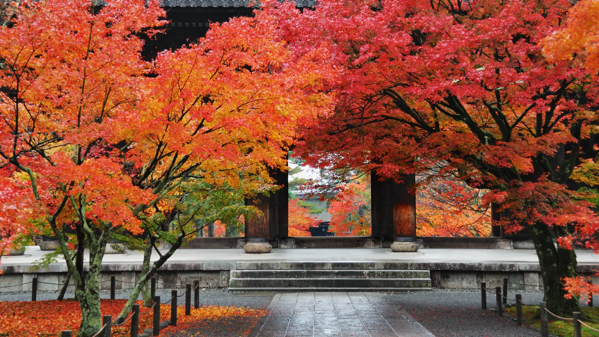 紅葉時節的南禅寺三門