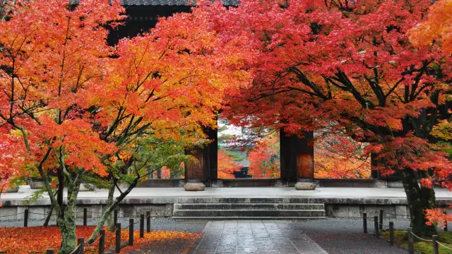 紅葉シーズンの南禅寺三門