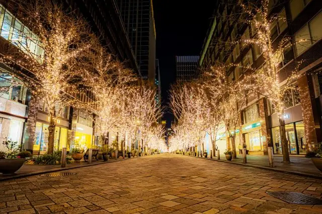 The wintertime tradition is Marunouchi shimmers with a champagne-gold color.