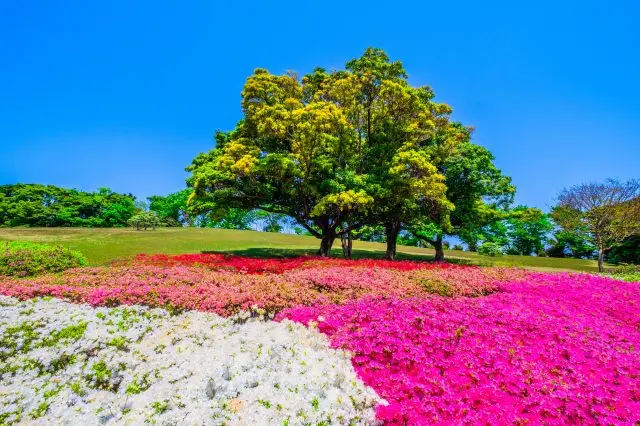 不只有文化設施，與豐富自然景觀的相遇也是一大魅力